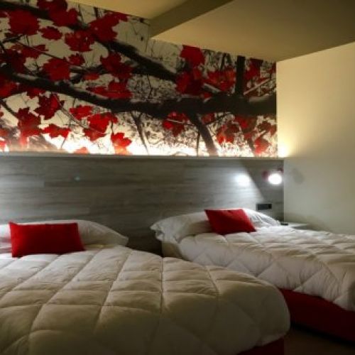 Habitación doble